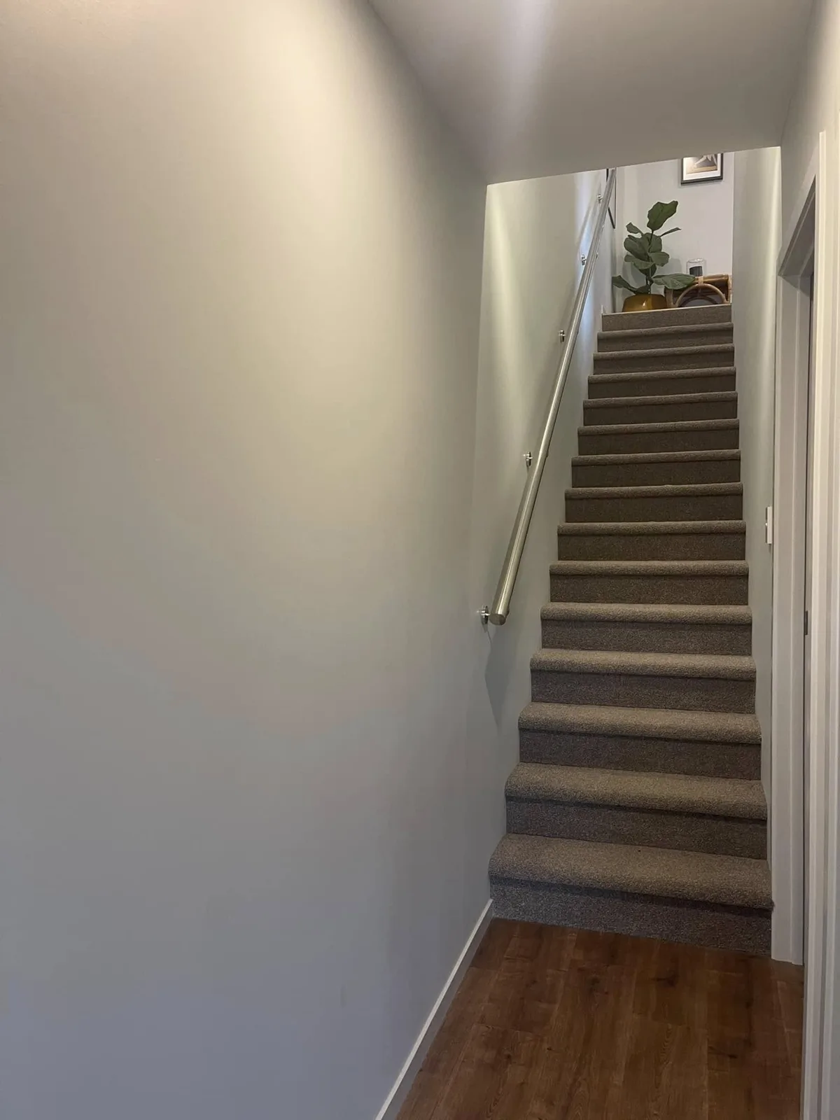 Interior painting finish Auckland — Ideal Painting Ltd